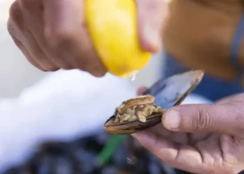 Midye ve Kumpir Zehirler mi ? Açıkta Satılan Midyelere Dikkat…