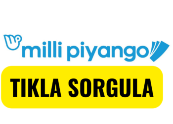 milli piyango sonuçları