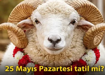 25 Mayıs Pazartesi tatil mi? Kurban Bayramı tatili 9 güne çıktı