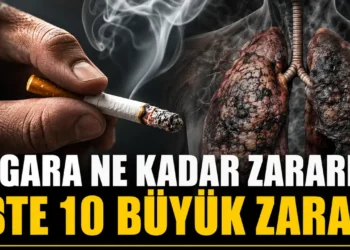 Sigara vücudu nasıl çökertiyor? İşte en büyük 10 zarar