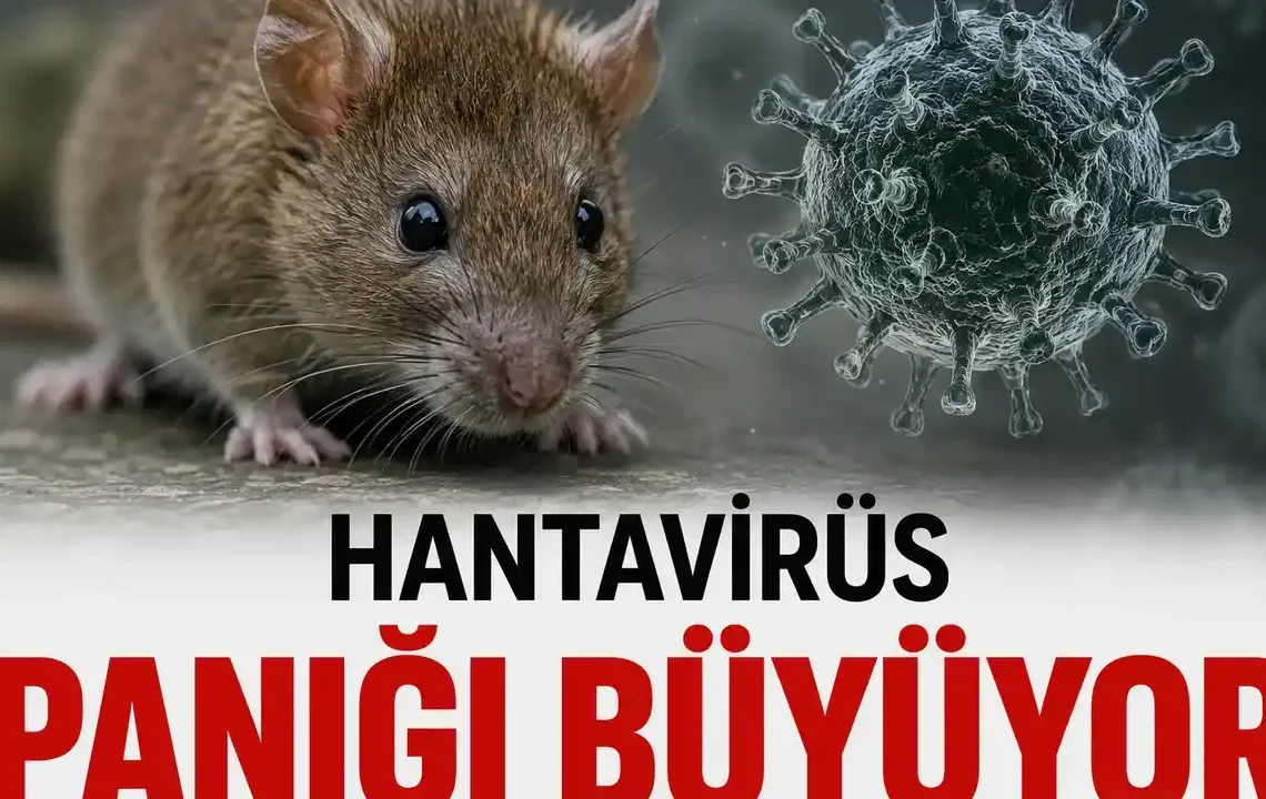 Hantavirüs paniği: Belirtileri, bulaşma yolu ve ölüm riski?
