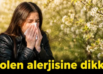 Polen alerjisi nedir, nasıl geçer? Belirtileri ve dikkat edilmesi gerekenler