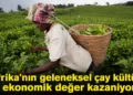 Afrika’nın geleneksel çay kültürü ekonomik değer kazanıyor