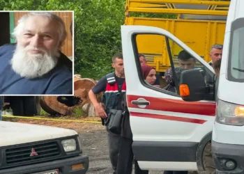 Rize’de Arazi Kavgası Çifte Ölümle Bitti: Akrabasını Öldürüp Kendi Canına da Kıydı