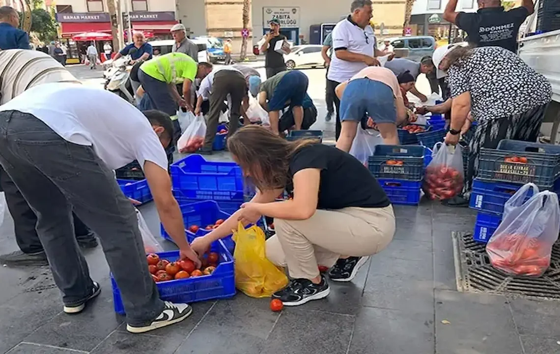 Antalyalı Üretici 4 Ton Domatesi Bedava Dağıttı: “5 TL’ye Alan Olmadı, Helali Hoş Olsun”