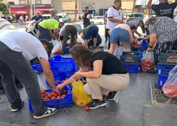 Antalyalı Üretici 4 Ton Domatesi Bedava Dağıttı: “5 TL’ye Alan Olmadı, Helali Hoş Olsun”