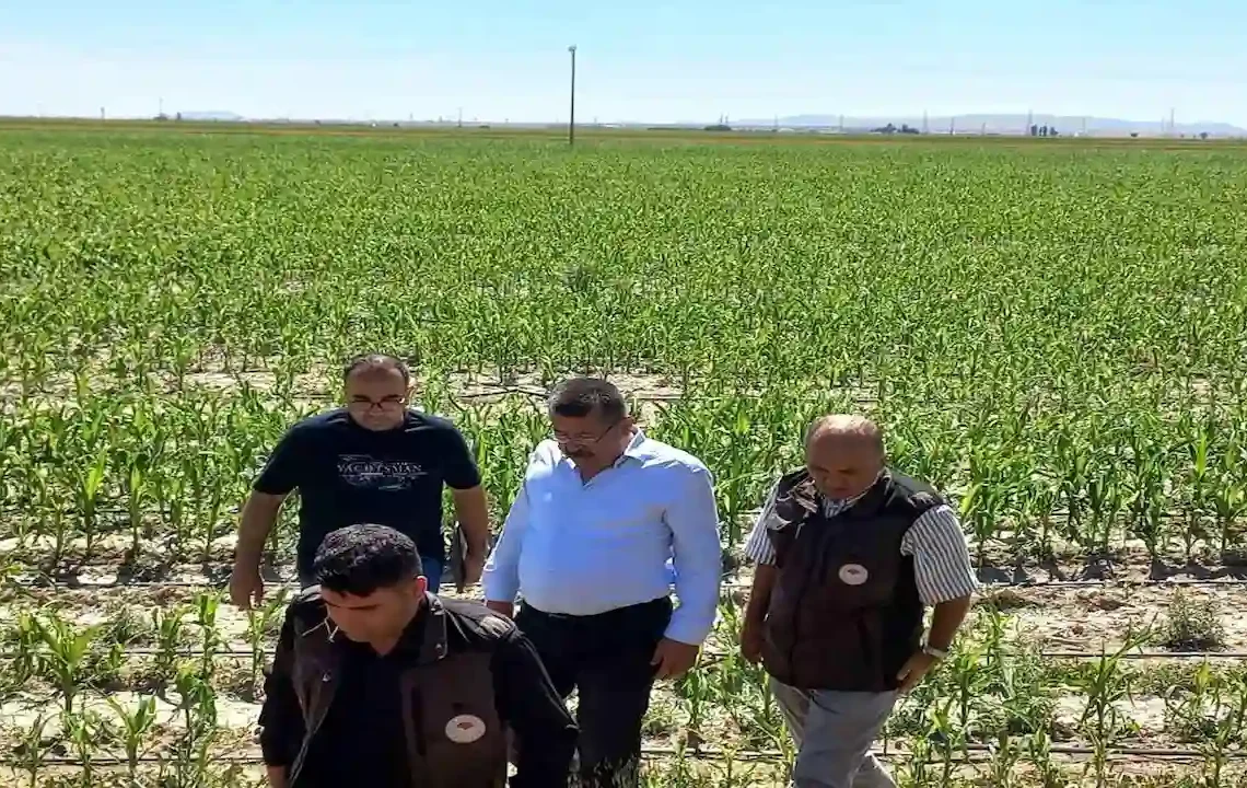 Karapınar’da Dolu Afetinin Yaraları Sarılıyor! Ekipler Hasar Tespiti İçin Sahada