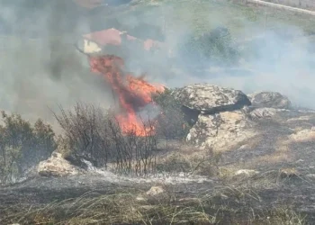 Manisa’da Makilik Yangınında 30 Dönüm Alan Zarar Gördü