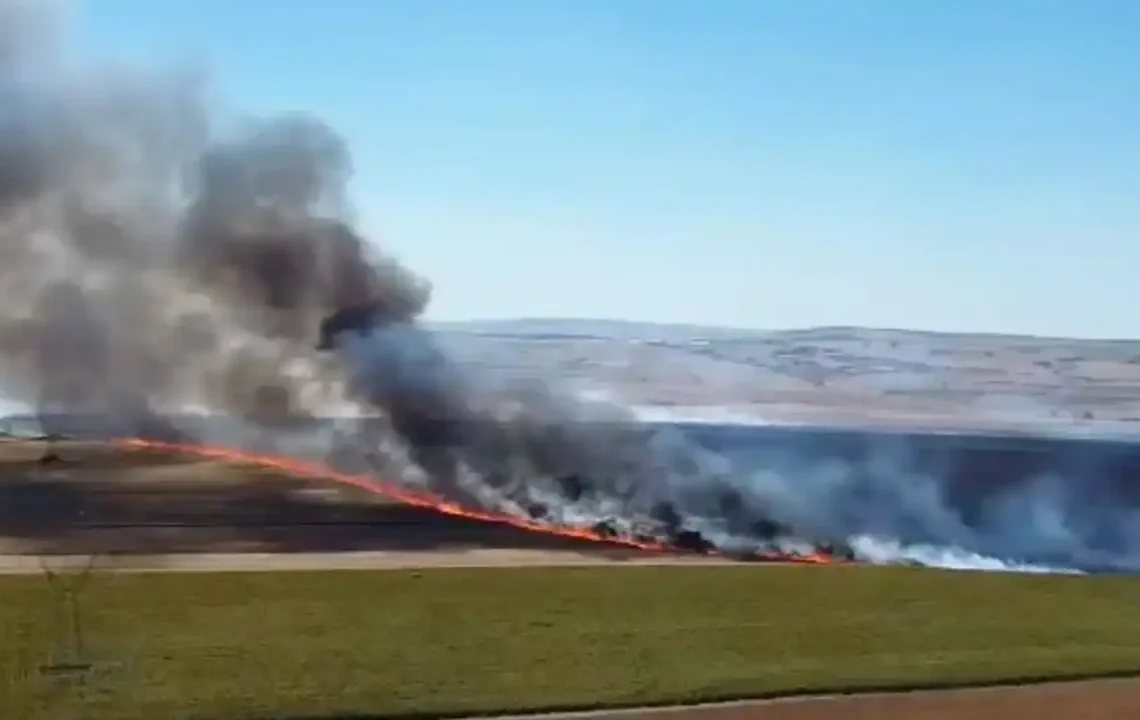 Tekirdağ’da Yangında 300 Dekar Tarım Alanı Zarar Gördü