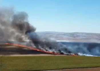 Tekirdağ’da Yangında 300 Dekar Tarım Alanı Zarar Gördü