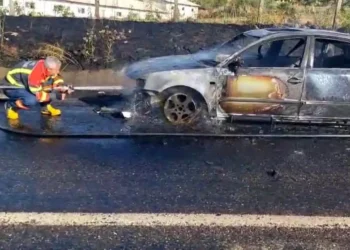 Bingöl’de seyir halindeki otomobil alevlere teslim oldu