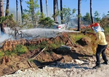 Karabük’te ormanlık alandaki otomobil yandı