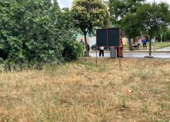 Kocaeli’nde tartıştığı amcasını palayla öldüren yeğen yakalandı